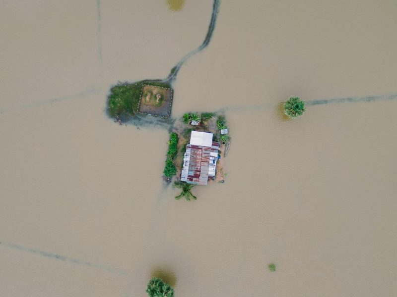 Emergency Relief (4)